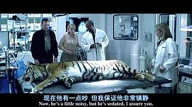 红龙影视官网 图5