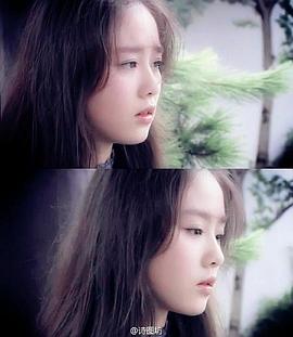 飛花如蝶 圖1