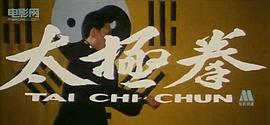 太极拳1985电影 图1