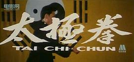 电影太极神功全部 图5