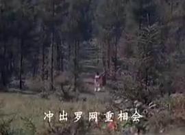 皇親國(guó)戚 圖1