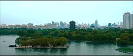格桑花之愛在前行 圖3