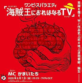 海贼王tv原创剧集 图1