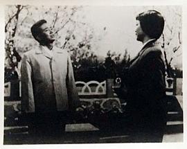 園丁之歌 圖6