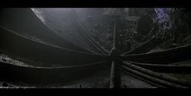 美夢成真 圖6