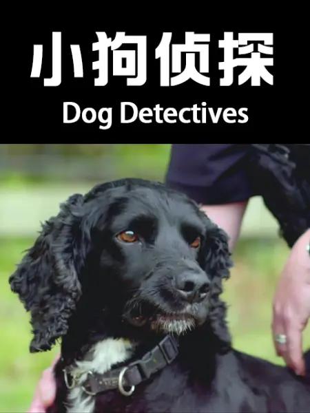 小狗偵探
