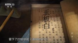 凤凰牡丹电视剧全集剧情 图10