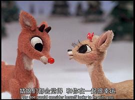 魯?shù)婪虻谋亲?圖6