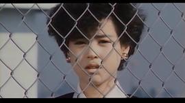 愛的交響 圖1