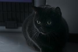 相棒 第14季 圖1
