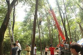 鐵猴子傳奇之花影危機(jī) 圖1