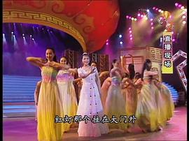 2007年中央电视台元宵晚会 图9