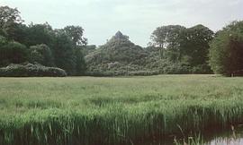 一個(gè)Z和兩個(gè)O 圖8