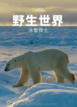 野生世界：冰雪悍士 圖1