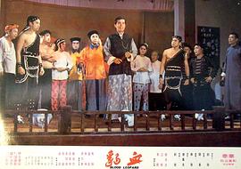 血豹 圖2