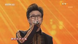 2013年中央电视台春节联欢晚会 图4