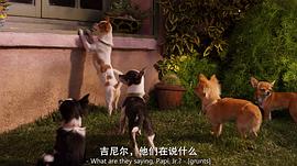比佛利拜金狗2 圖3