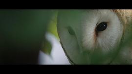 最大的小小農(nóng)場 圖1