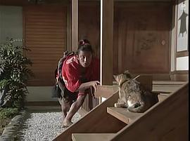 織田信長 圖6