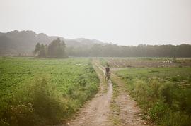 環(huán)島公路 圖5