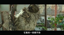 神秘动物园中文版免费 图10