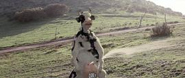 昆寶出拳 圖7