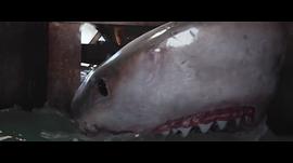 深海狂鲨3 图8