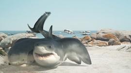 夺命六头鲨电影 图8