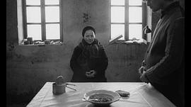 鯨魚(yú)馬戲團(tuán) 圖4