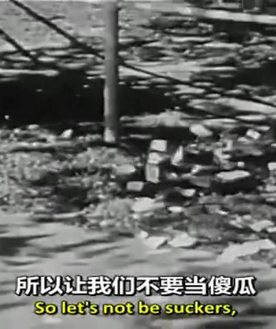 別傻了!