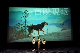 CCTV6播放一条狗的回家路 图9