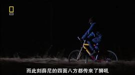 世界致命動(dòng)物系列：非洲篇 圖3
