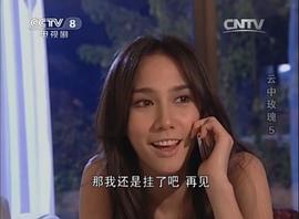 云上的玫瑰 圖3