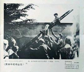 黑林中的布谷鳥(niǎo) 圖2