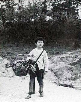野媽媽 圖1