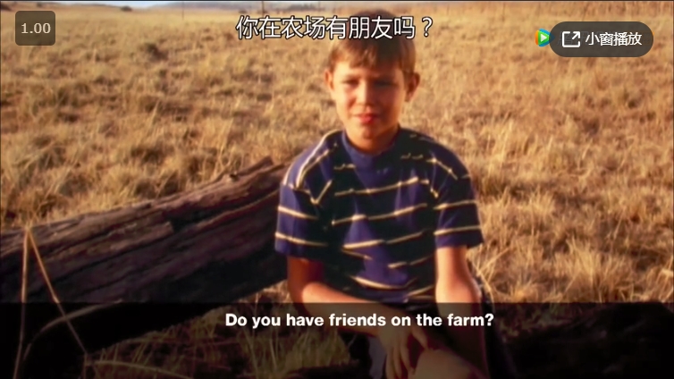 南非人生七年1
