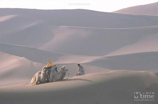 天地英雄电影免费爱奇艺