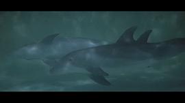 海豚之日 图5