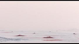 北海鲸梦 图3