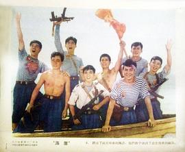 海鷹 圖5