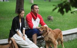 棋逢對手 圖8