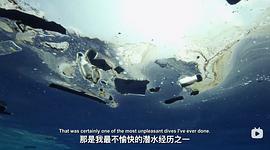 塑料海洋中文版 图8