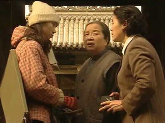 家有九凤剧情介绍