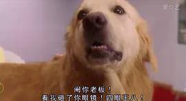完美情人 圖6