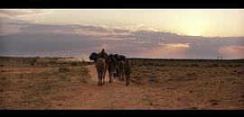 穿越沙漠无人区的电影 图2