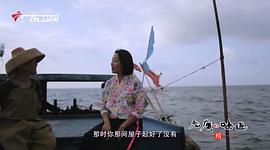 广东卫视美食纪录片 图7