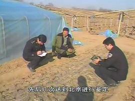 中國重案紀(jì)實(shí)錄 圖7