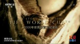 2014世界杯纪录片征服之光 图3