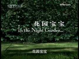 花園寶寶 圖8