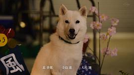Byplayers 3：名配角的森林100日 圖5